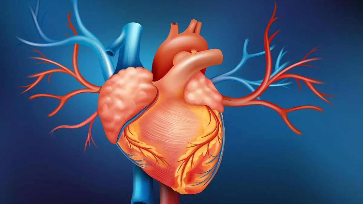 Preservare la valvola cardiaca nella chirurgia aortica migliora gli esiti a lungo termine