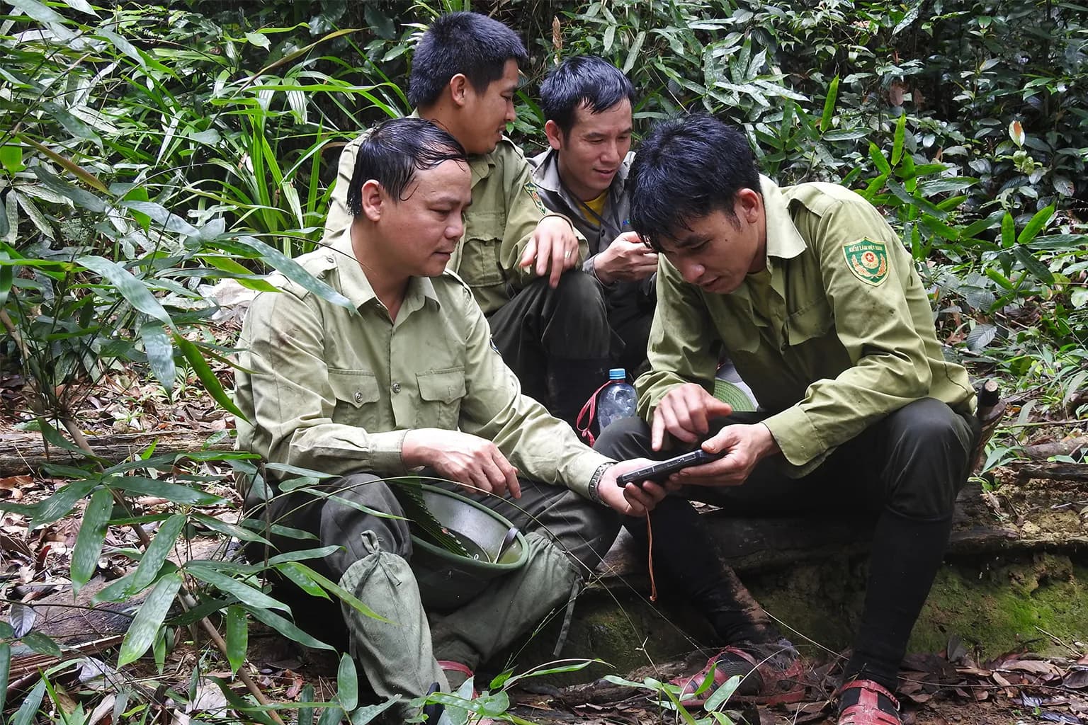 In Vietnam la tecnologia aiuta i ranger a fermare il bracconaggio