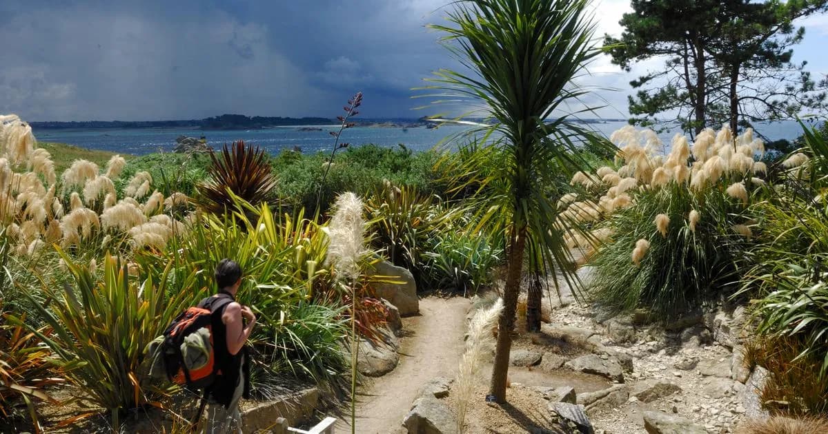 Il giardino tropicale nascosto in un'isola della Bretagna